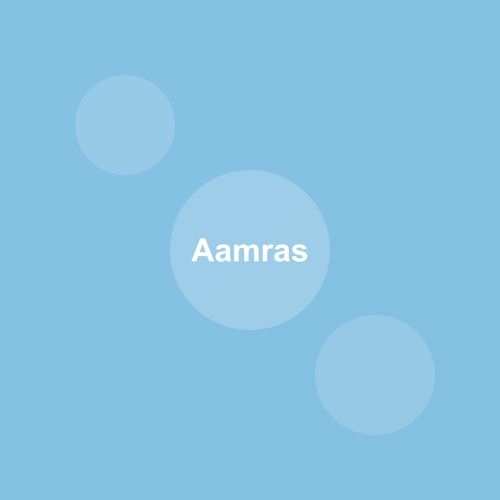Aamras — Gujarat